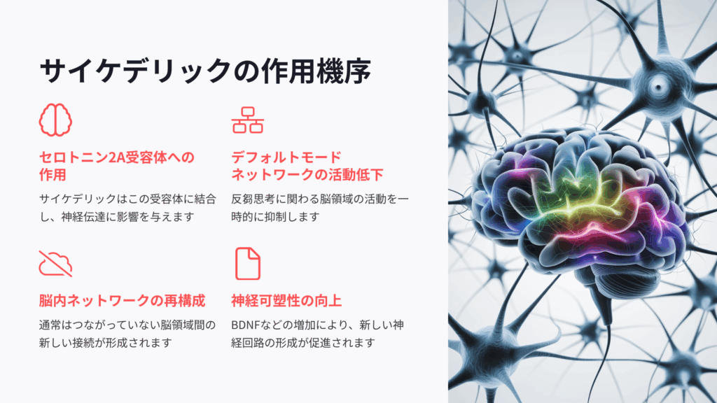 サイケデリックのメカニズム