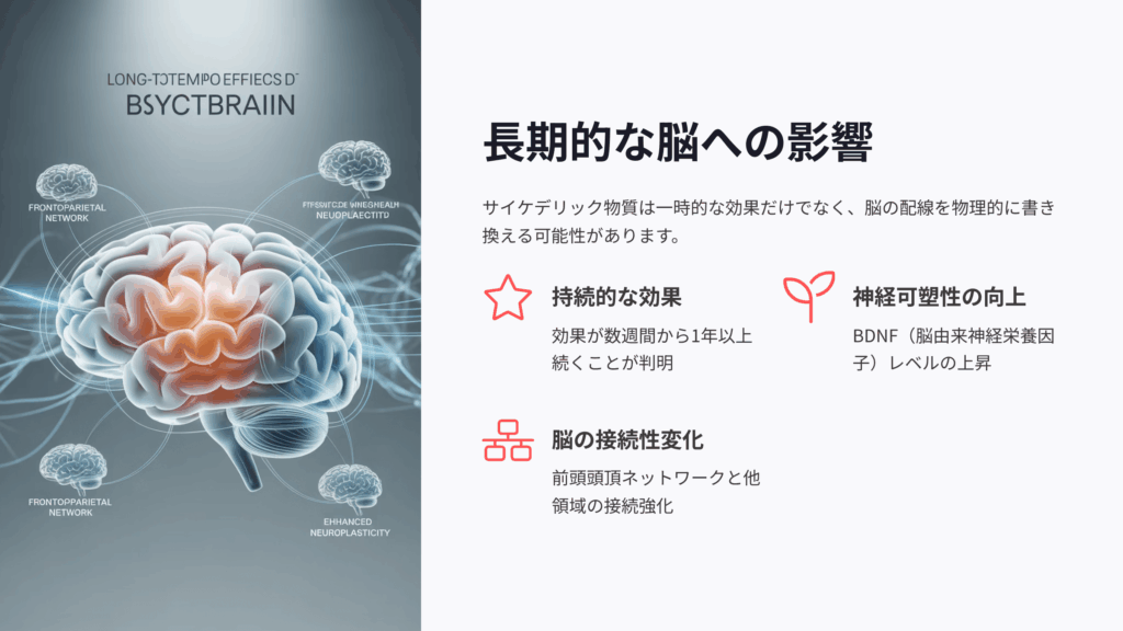 サイケデリックの長期的効果
