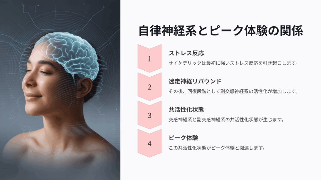 自律神経系とサイケデリックのピーク体験との関係性
