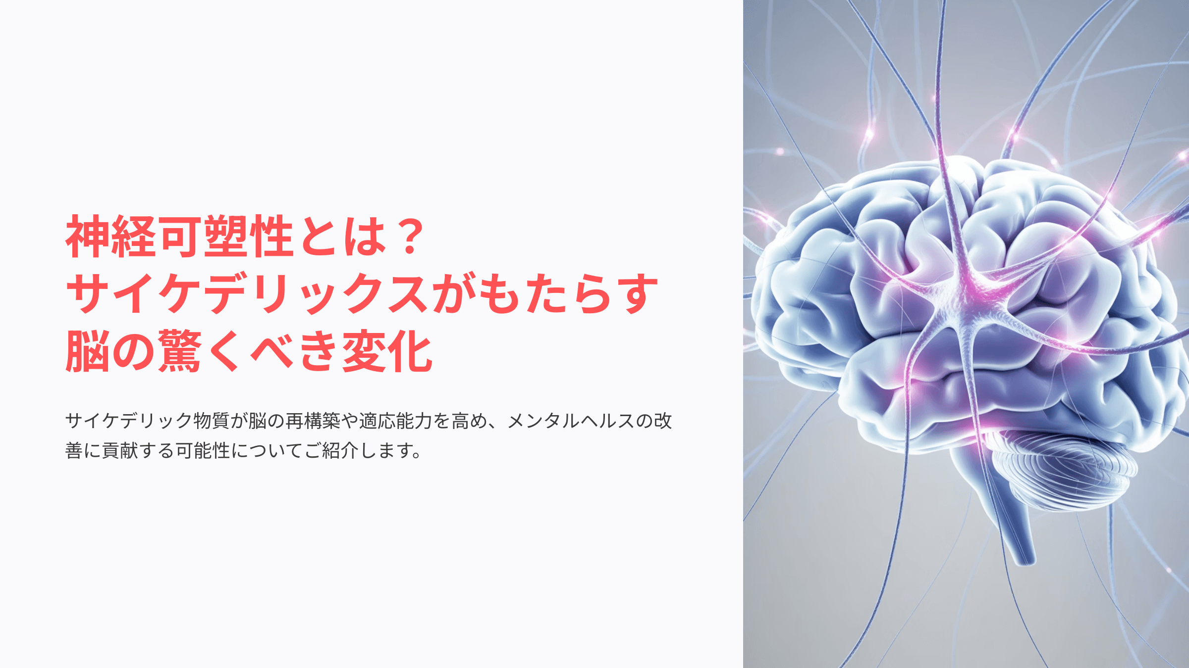 サイケデリックスと神経可塑性