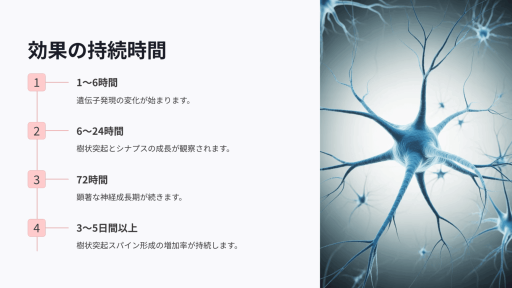 サイケデリックの効果の持続時間