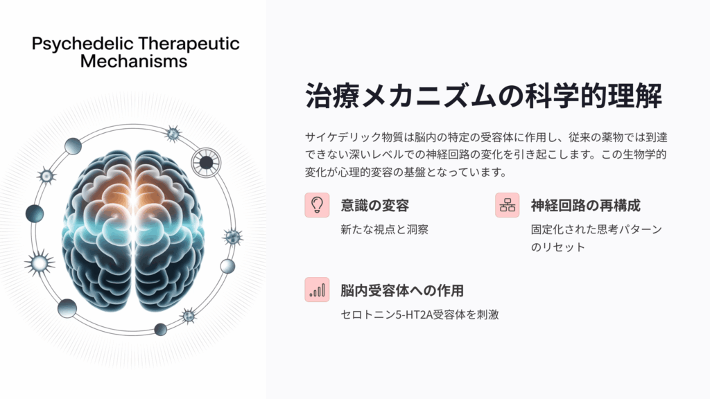 サイケデリック療法のメカニズム