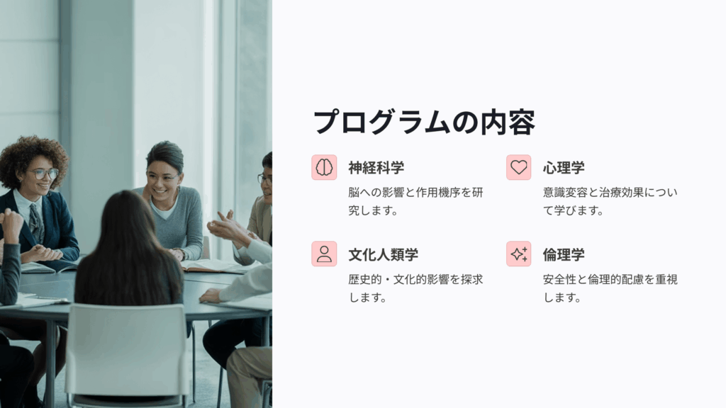 サイケデリック学部のプログラム概要