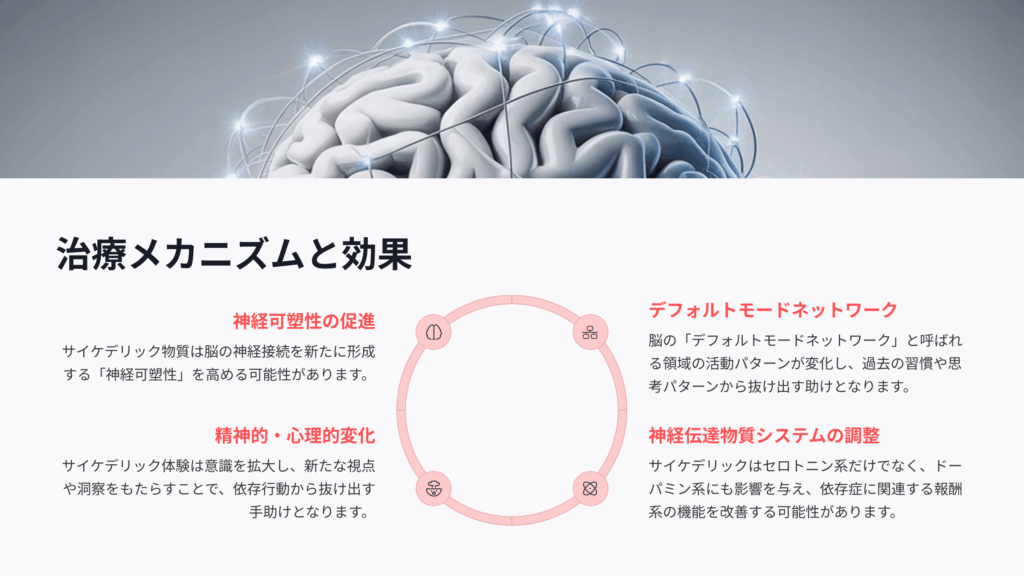 サイケデリック療法のメカニズム