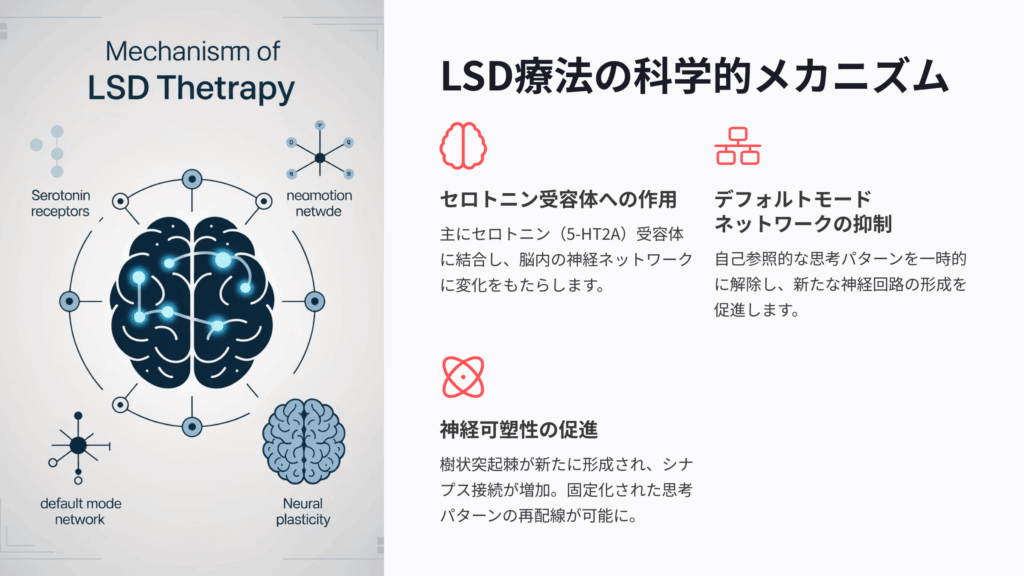 LSDの治療効果メカニズム