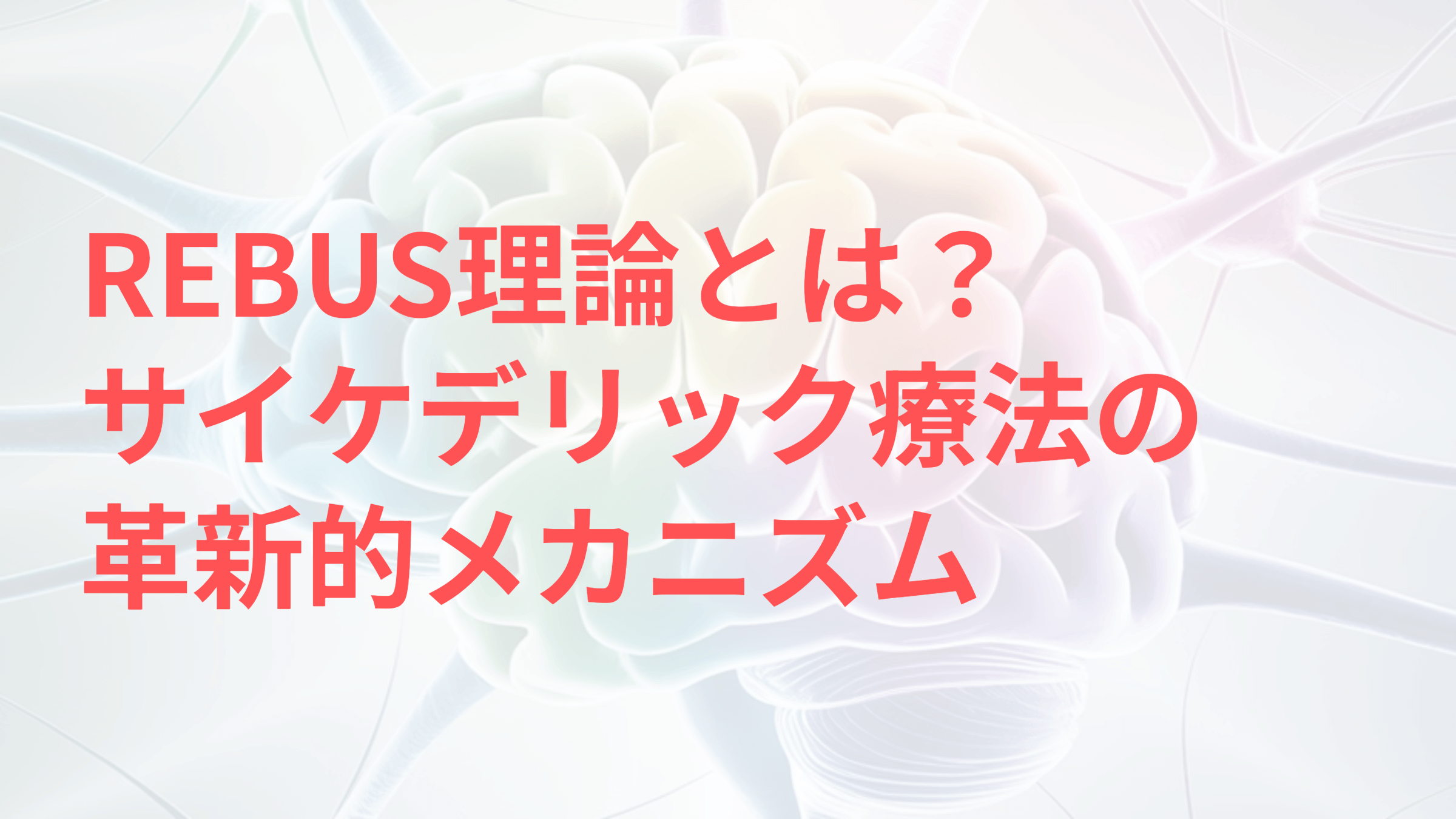REBUS理論とは