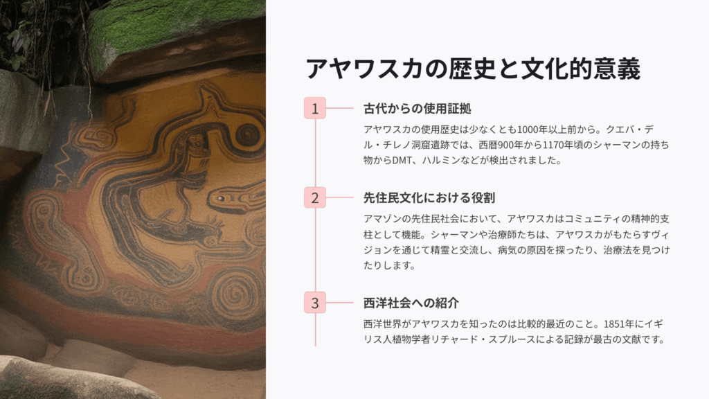 アヤワスカの歴史と文化的意義
