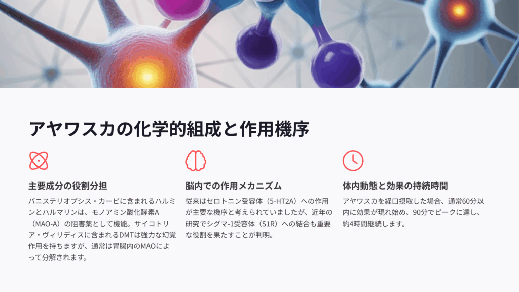 アヤワスカの作用機序