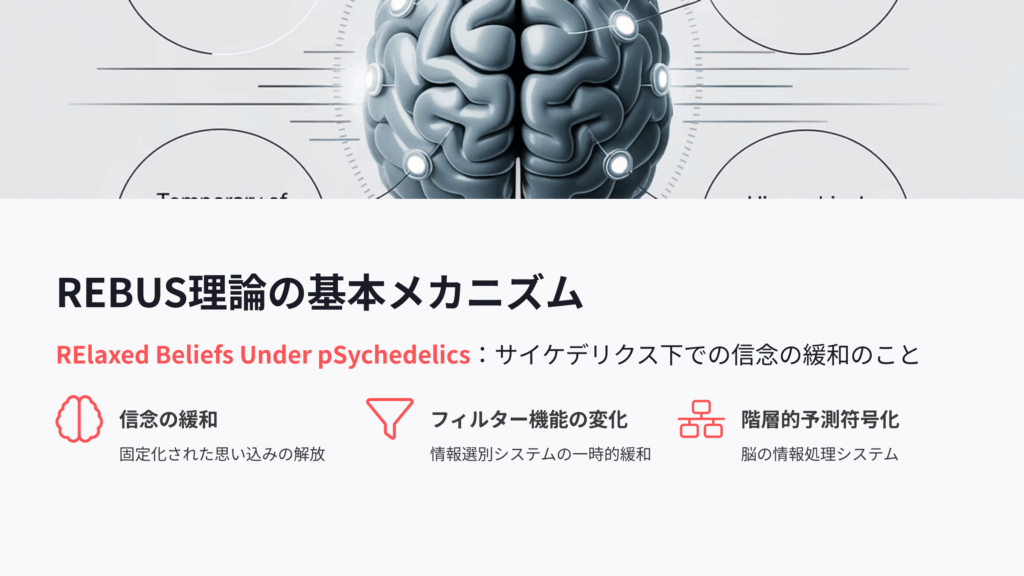 サイケデリックにおけるREBUS理論の基本メカニズム