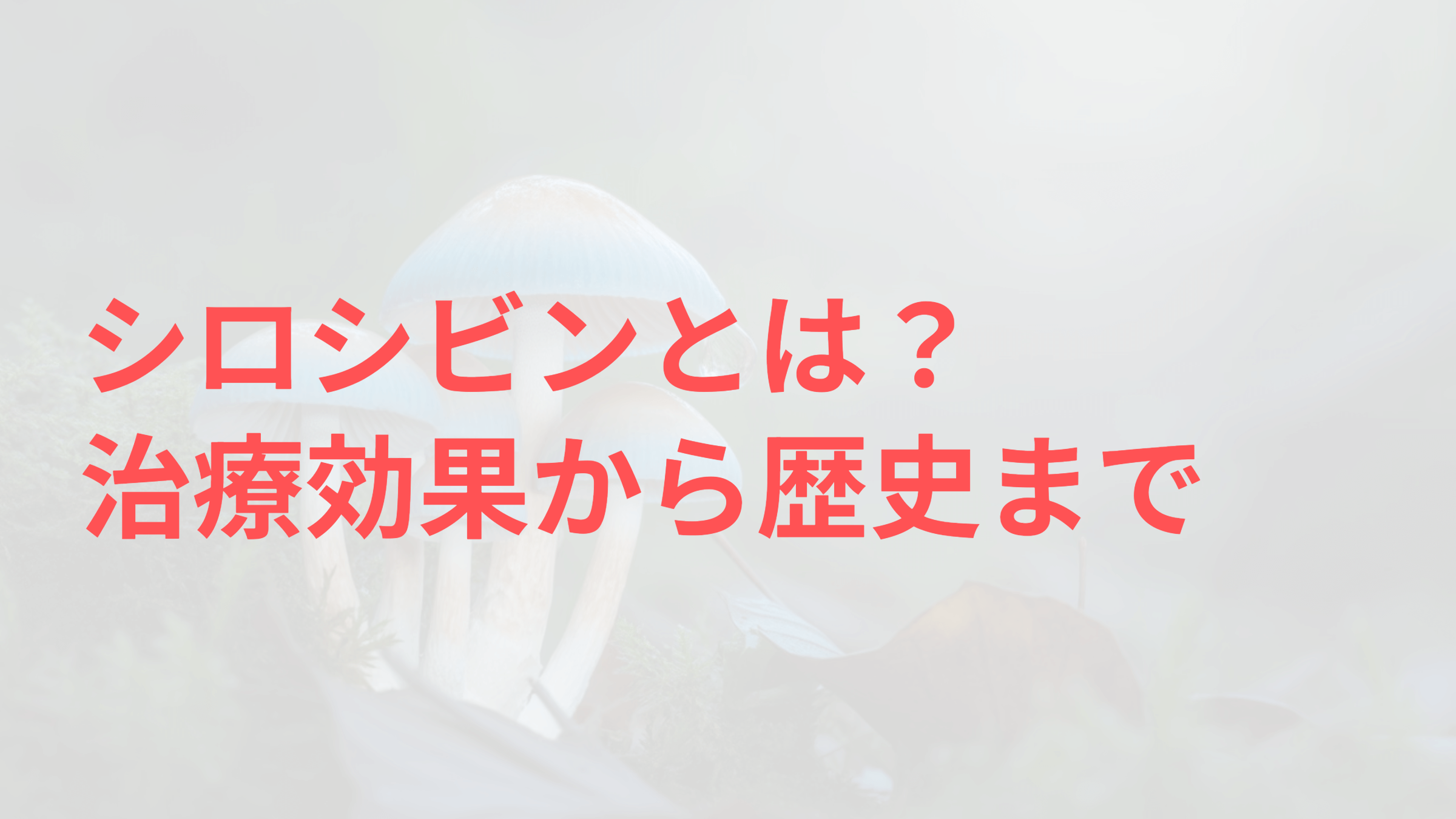 シロシビンとは