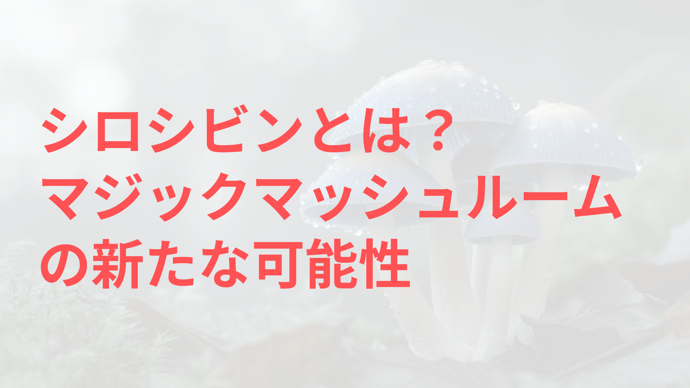 シロシビンとは