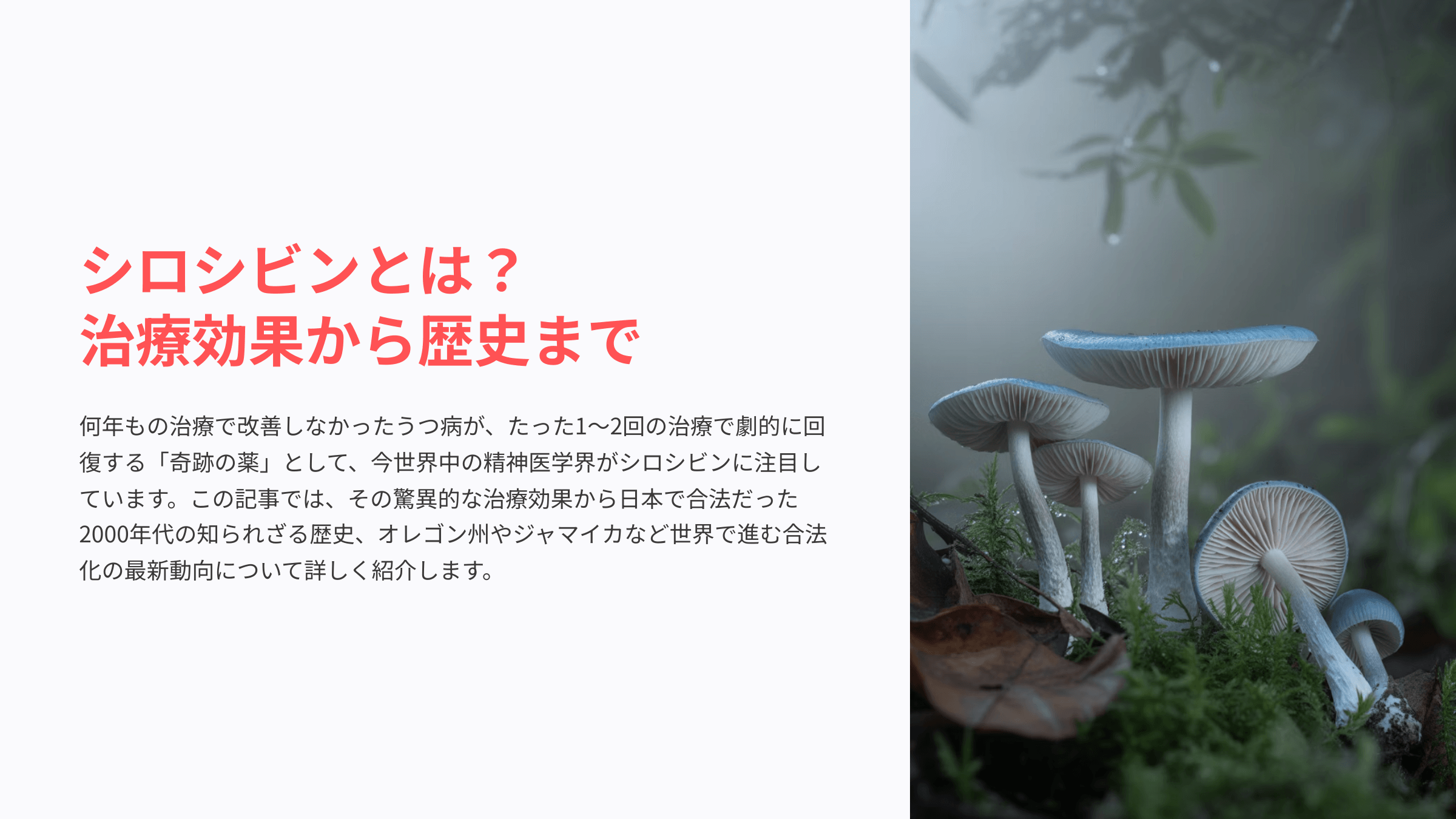 シロシビンについて