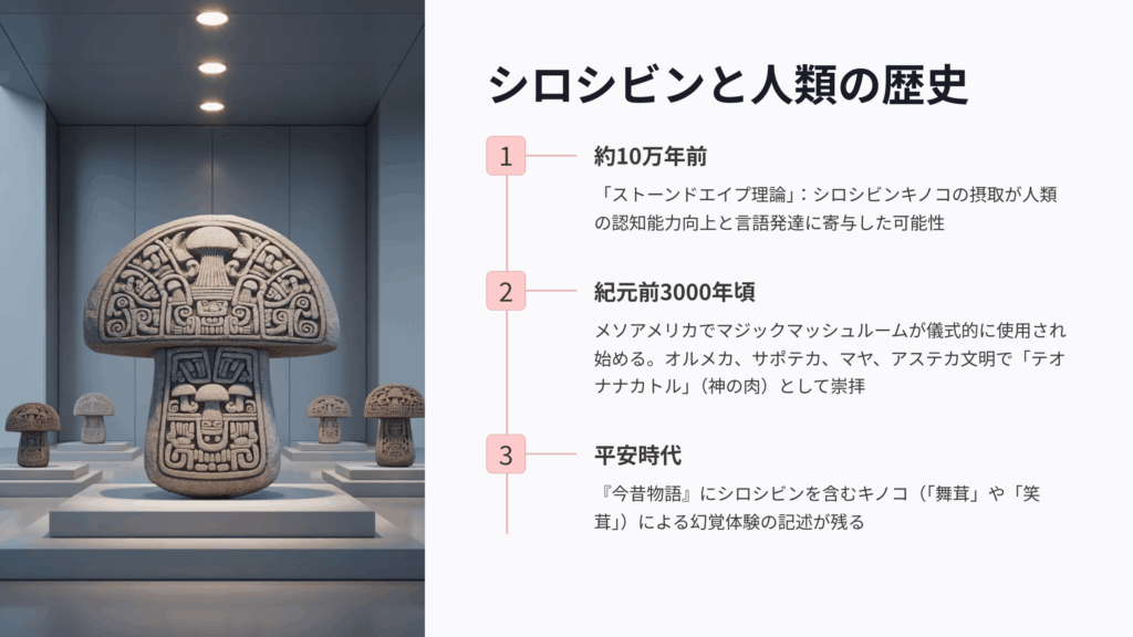 シロシビンの人類史における位置