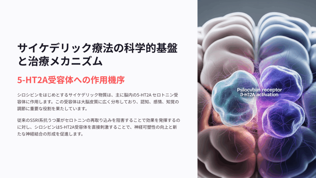 サイケデリック療法の科学的基盤と治療メカニズム