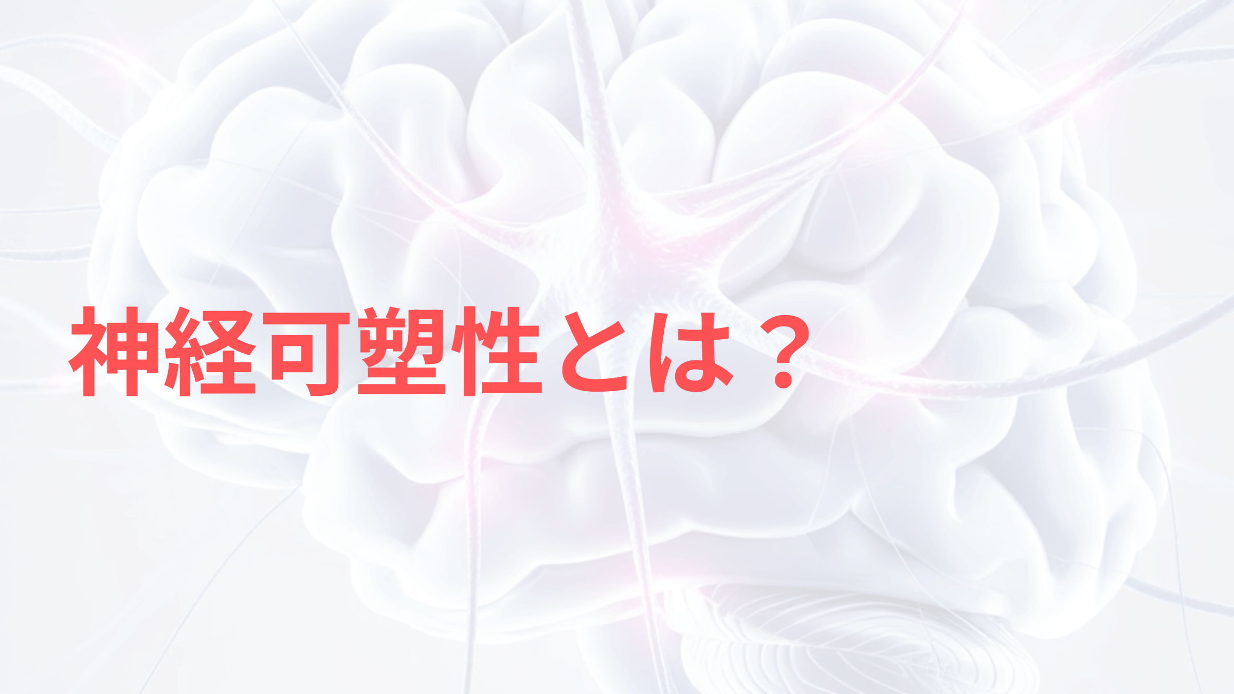 神経可塑性とサイケデリック