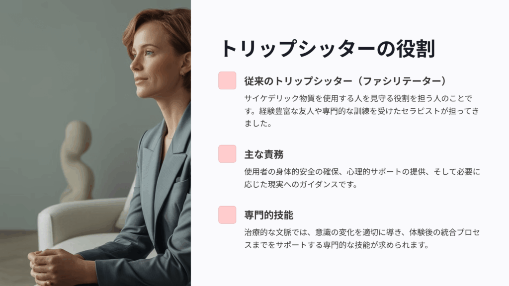 従来のトリップシッターの役割