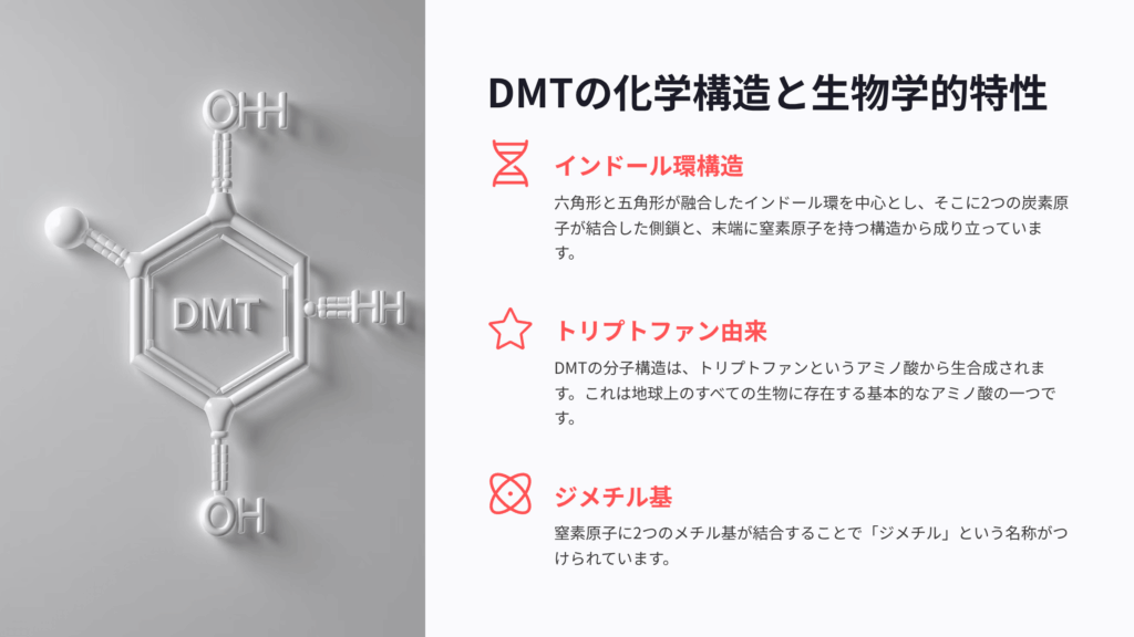 DMTの化学構造と生物学的特性