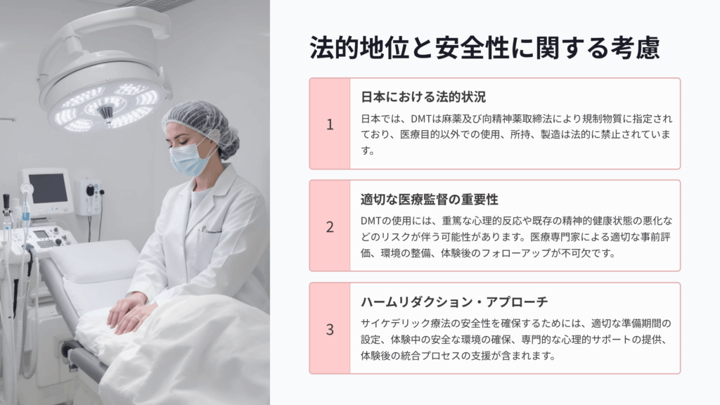 法的地位と安全性に関する重要な考慮事項