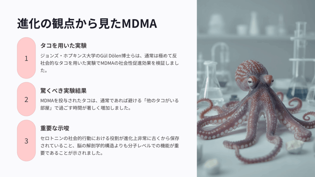 進化の観点から見たMDMAの作用機序