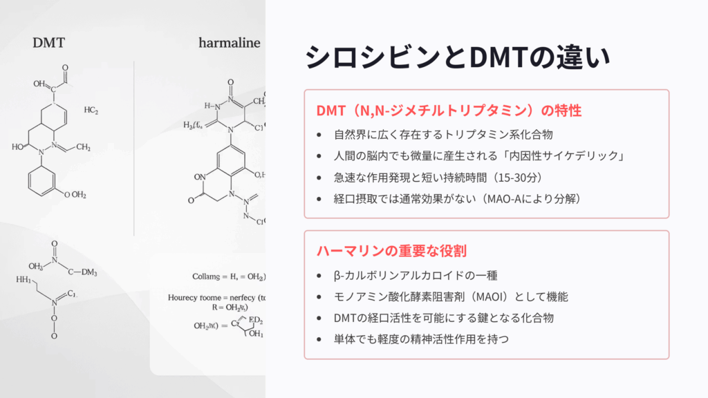 シロシビンとDMTの違い
