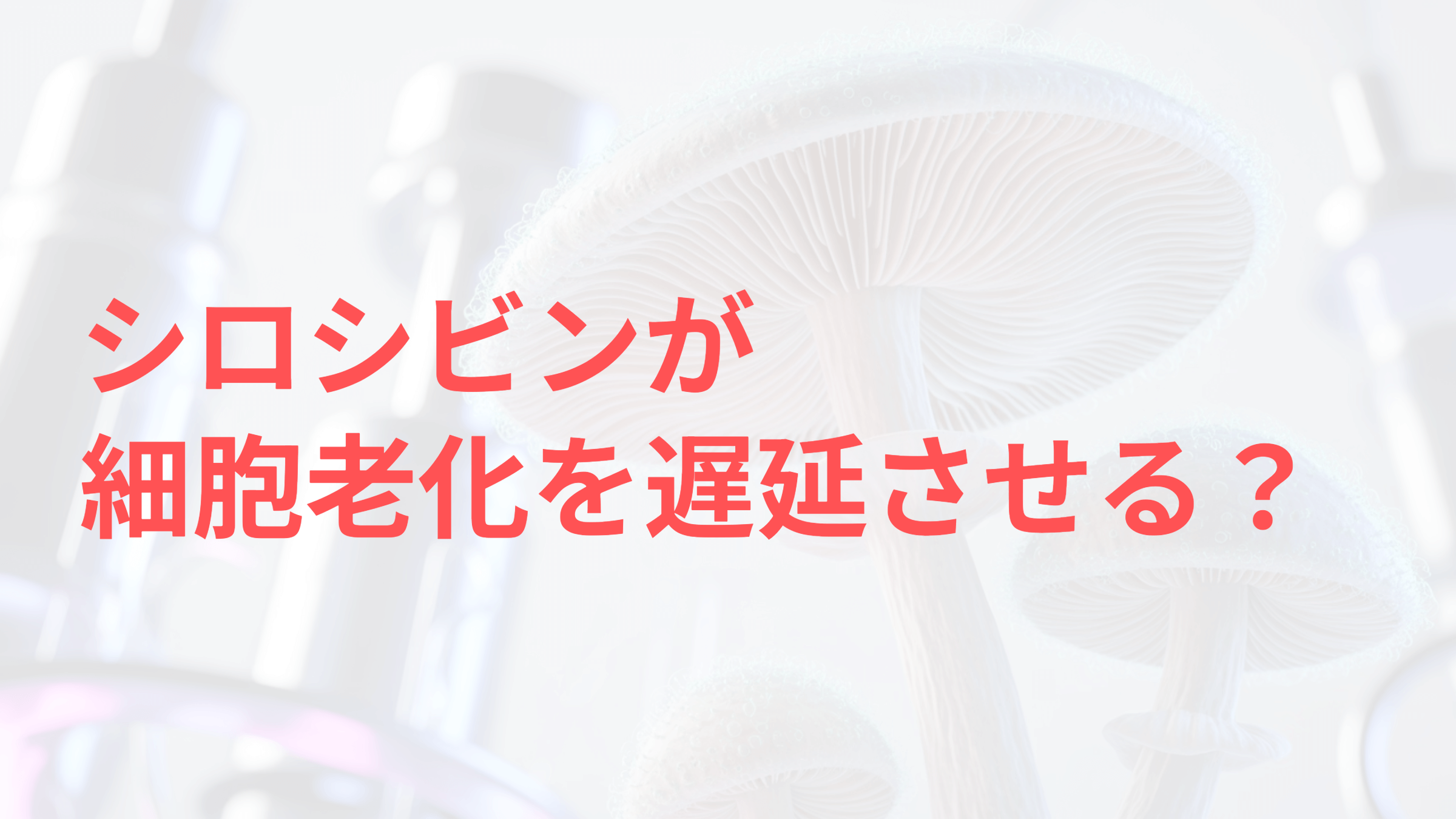 シロシビンが 細胞老化を遅延させる