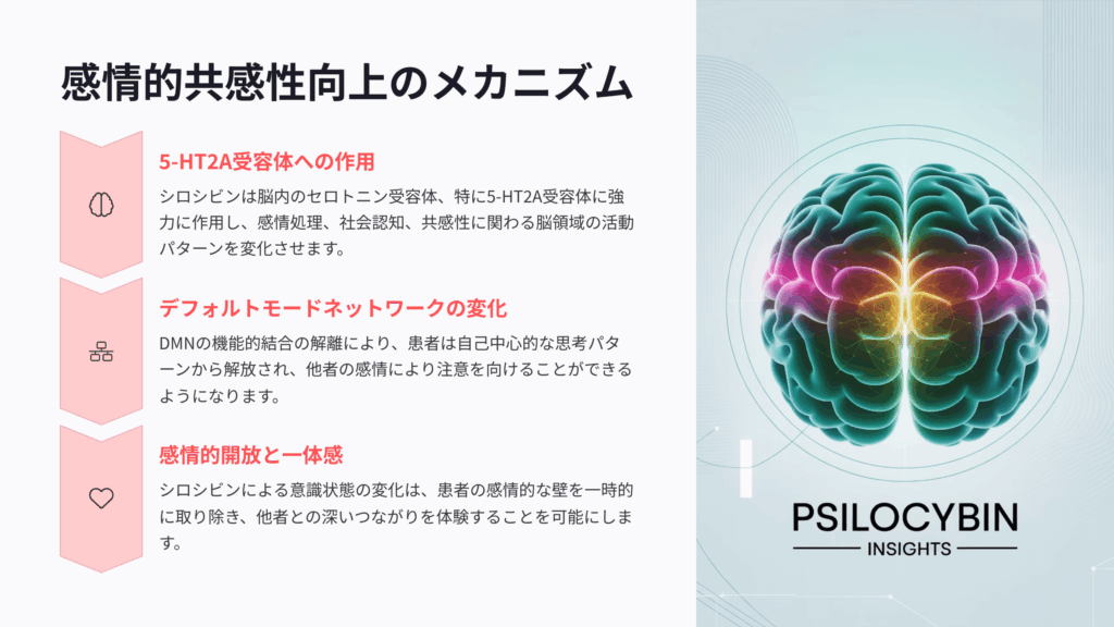 感情的共感性向上のメカニズム