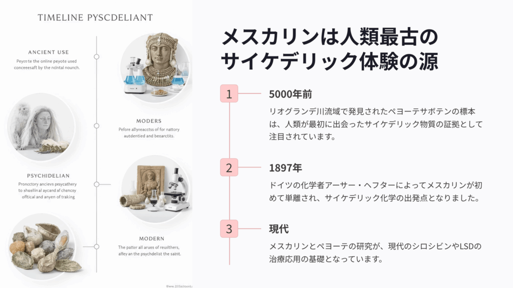 メスカリンは人類最古のサイケデリック体験の源である