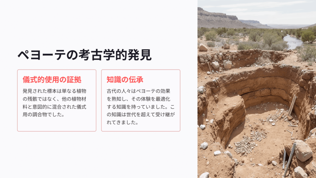 ペヨーテの考古学的発見