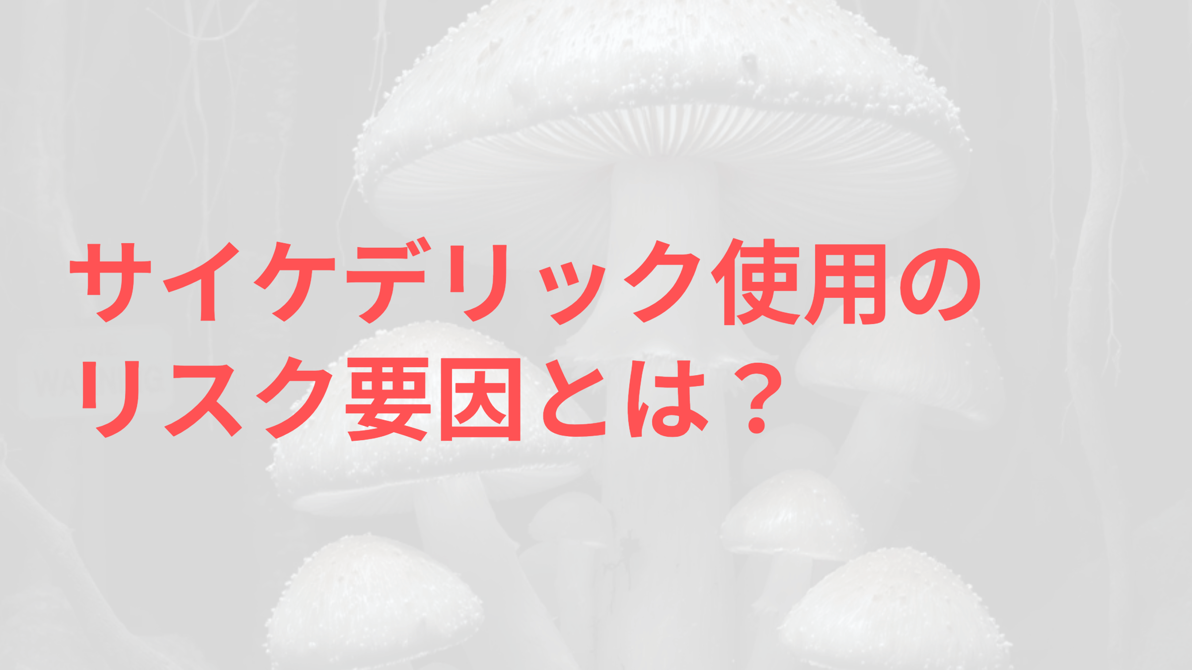 違法な環境下でのサイケデリック